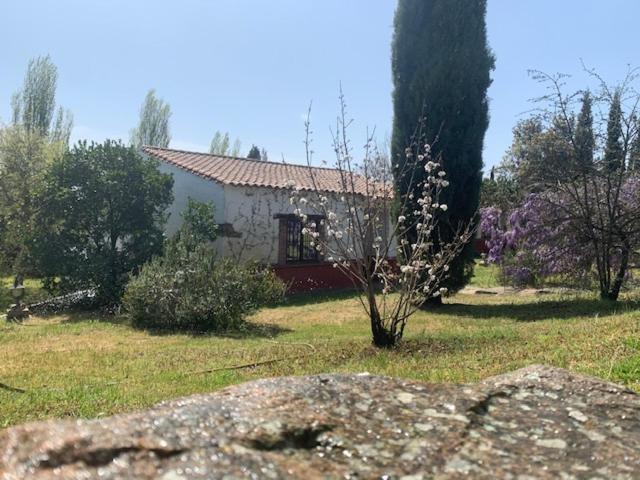 El Pueblo De Leo Hotel Badajoz Kültér fotó