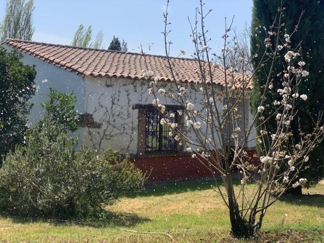 El Pueblo De Leo Hotel Badajoz Kültér fotó