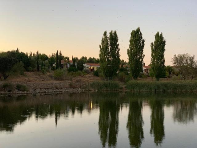 El Pueblo De Leo Hotel Badajoz Kültér fotó